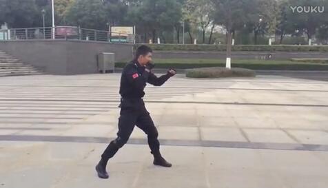 萬鴻保（bǎo）安（ān）實訓（xùn）係（xì）列六